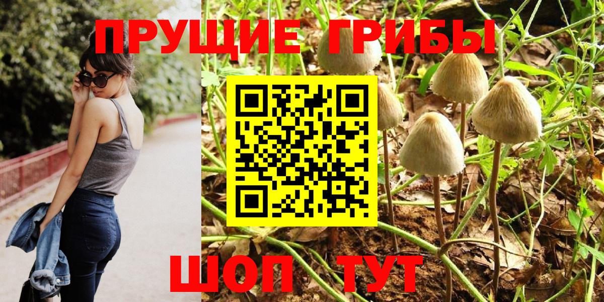 Пыть-Ях  Псилоцибиновые грибы ЛСД  Вход с VPN 